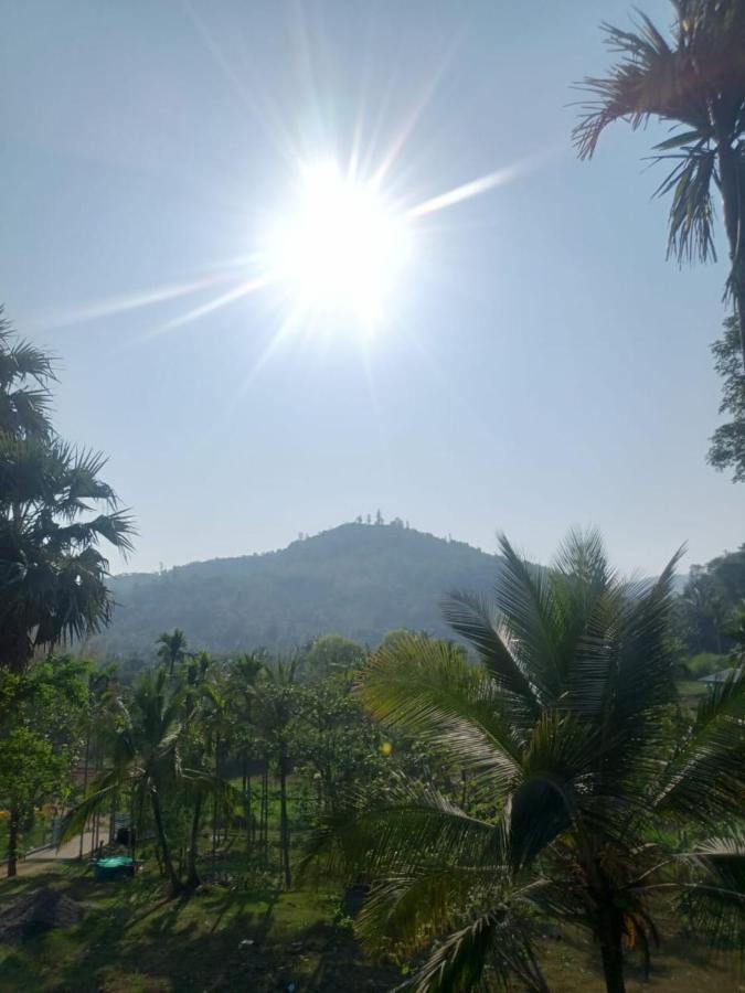 Padavayal Greens Attappadi Bagian luar foto