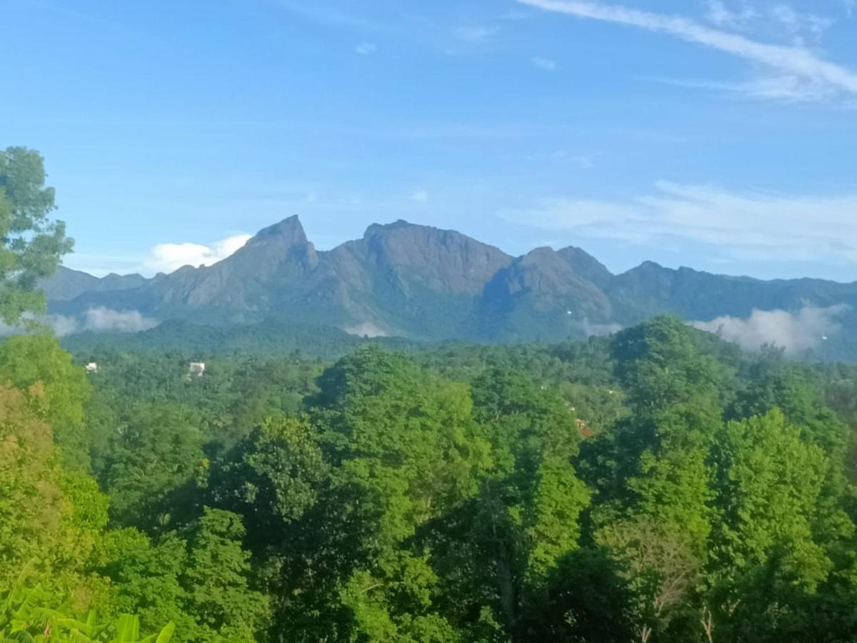 Padavayal Greens Attappadi Bagian luar foto