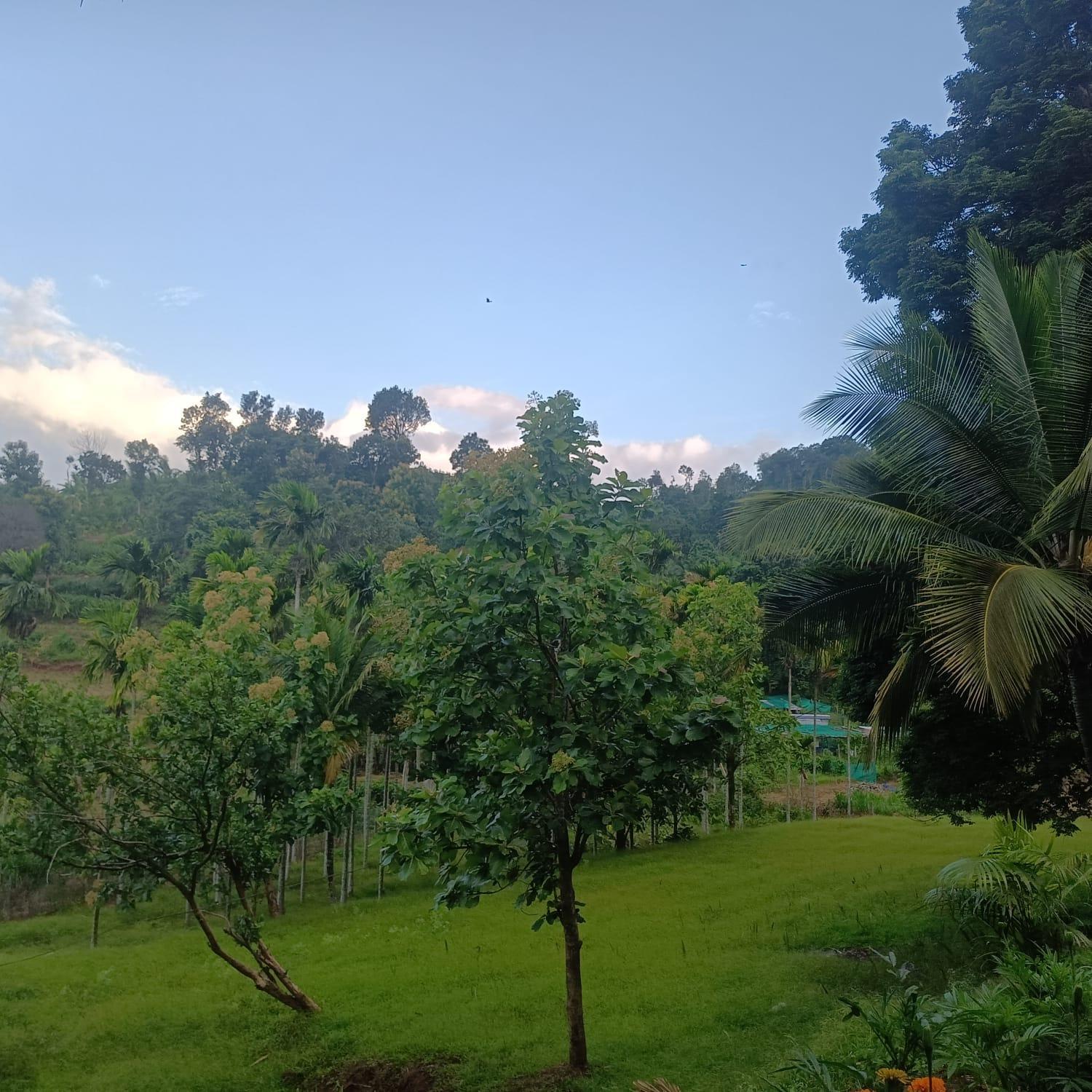 Padavayal Greens Attappadi Bagian luar foto