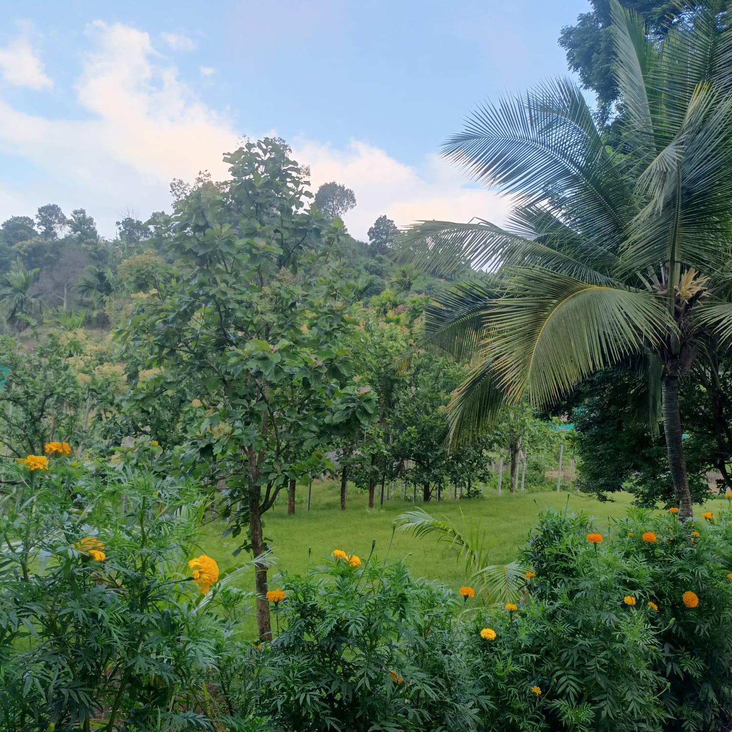 Padavayal Greens Attappadi Bagian luar foto